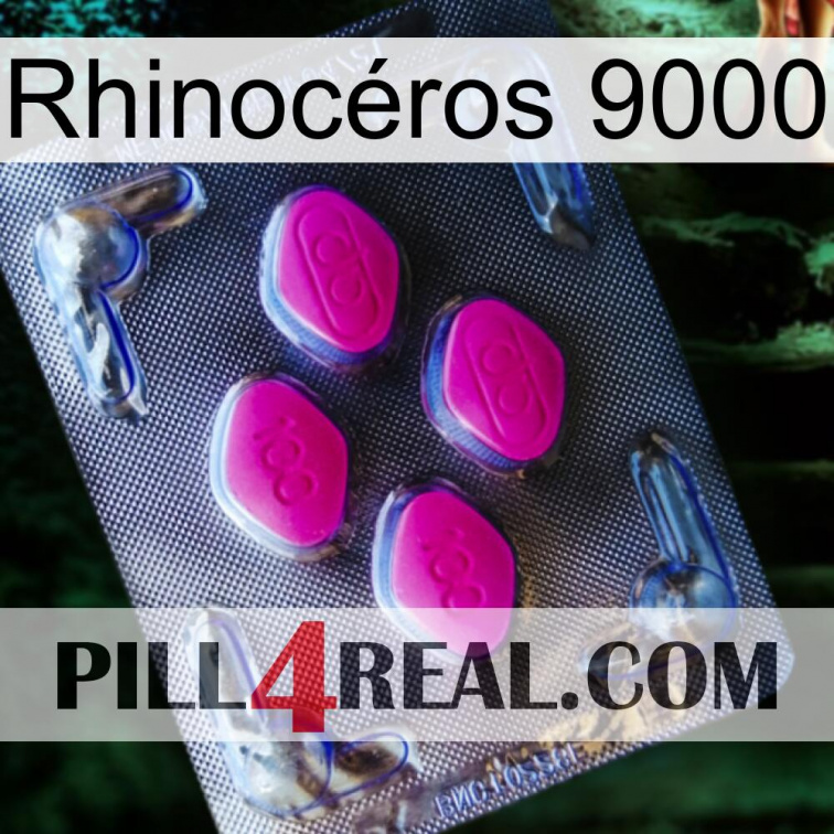 Rhinocéros 9000 02